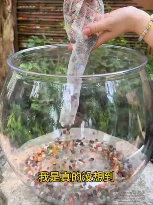 一体成型防摔鱼缸,养鱼造景超实用,美观又耐用