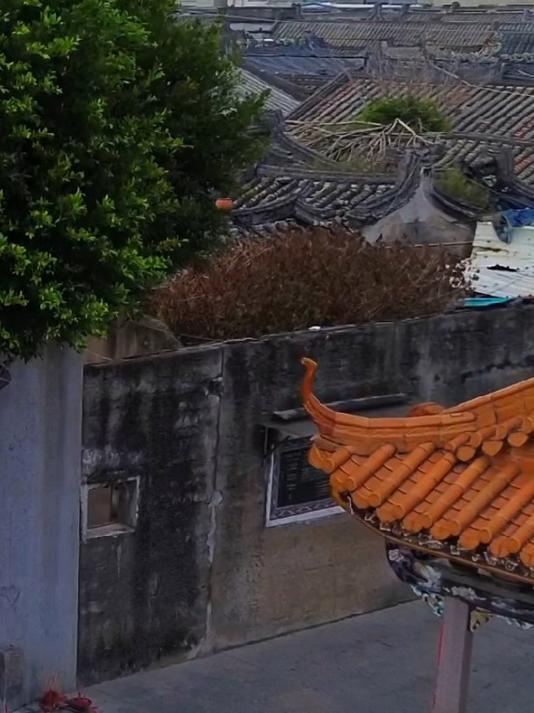 广东潮州首富的祖屋,门前三花聚顶,真是罕见!