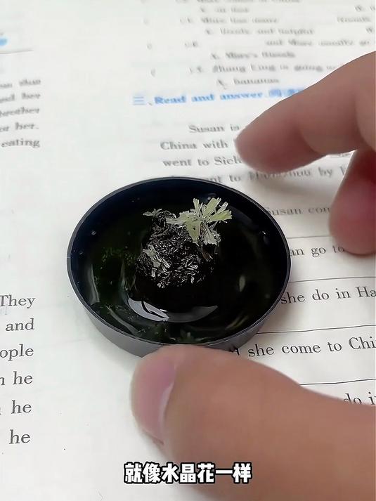石头真的能开花么