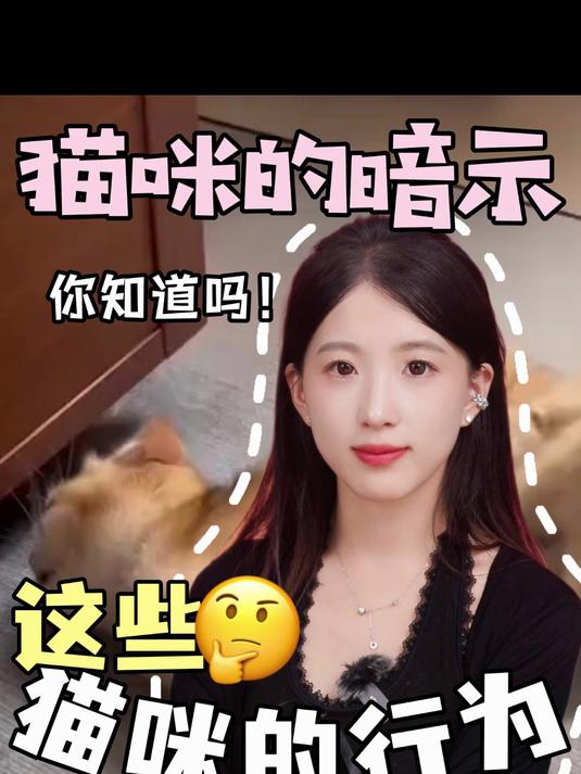 你家猫咪的这些行为,是在暗示你什么呢?