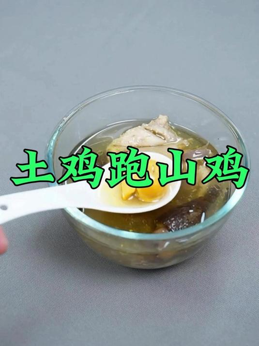 会飞的土鸡跑山鸡战斗鸡