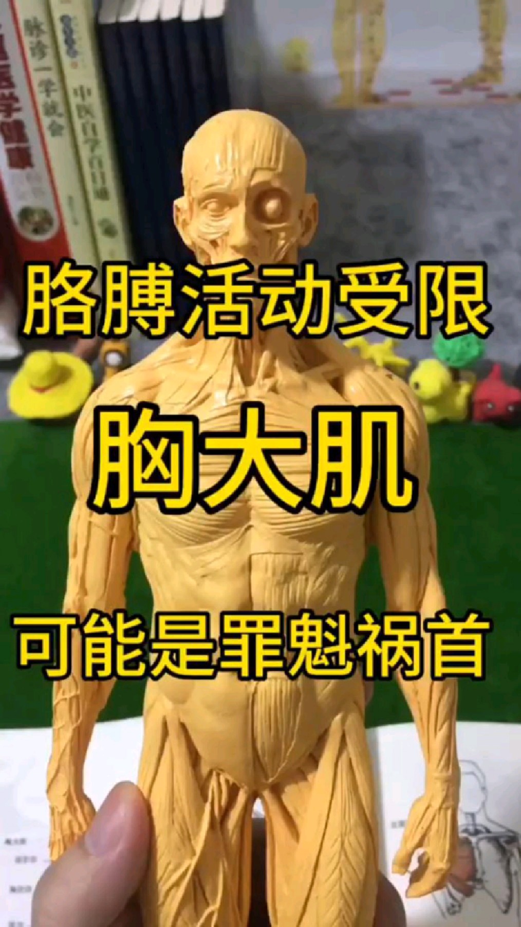 影响胳膊活动受限的一条肌肉,看图更清晰