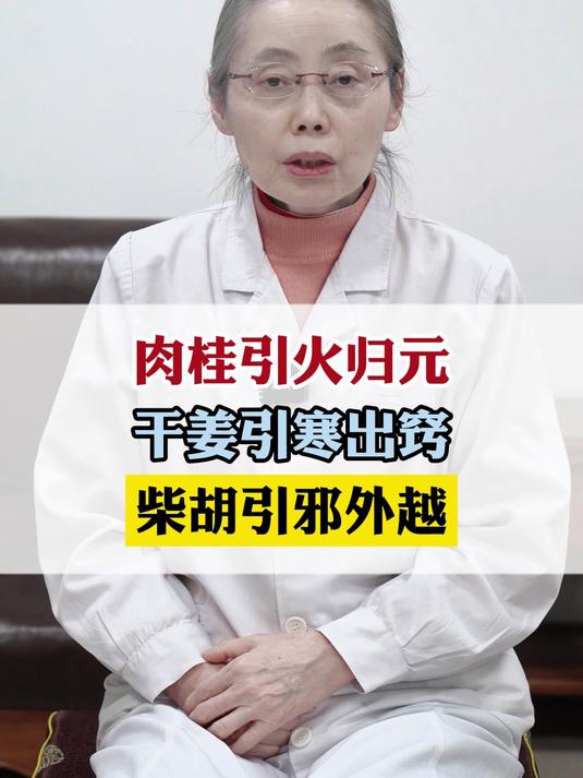 肉桂引火归元,干姜引寒出窍,柴胡引邪外越