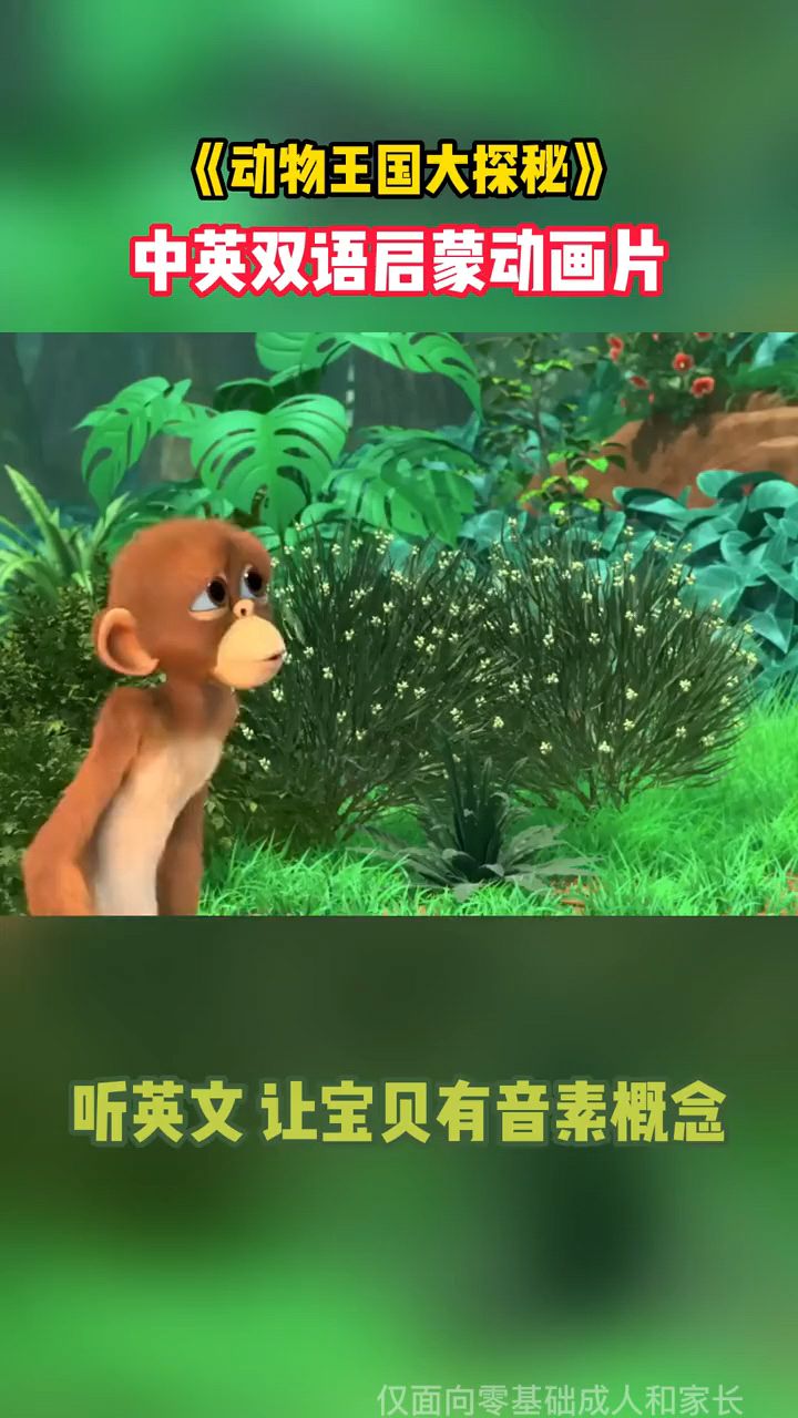 看动画就能学启蒙英语,宝宝爱看老师推荐