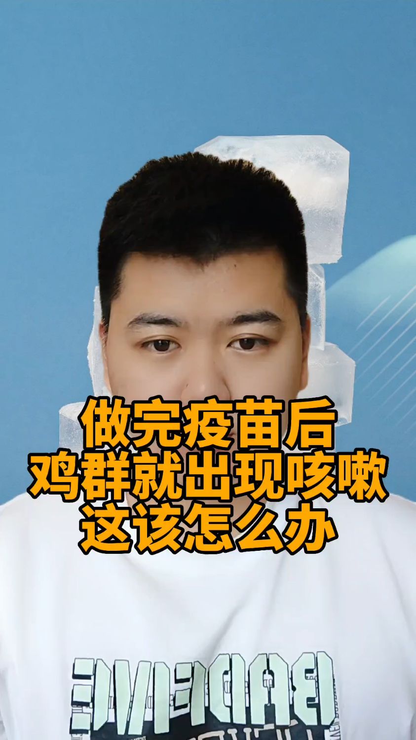 #鸡支原体是怎么感染上的鸡支原体病的三个阶段鸡感冒与支原体的区别鸡支原体病症状有哪