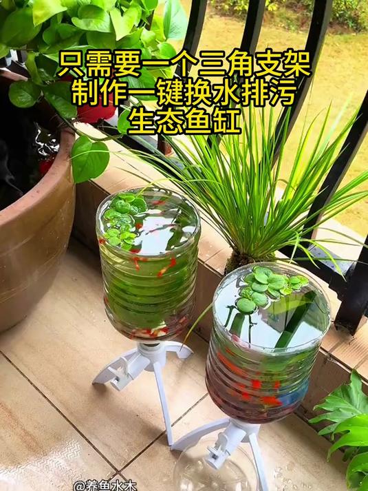 轻松制作生态鱼缸，只需要一个矿泉水瓶子和一个三角支架