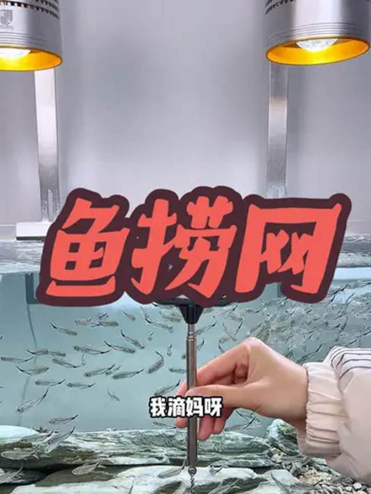 多功能 3D 鱼捞网 让水族观赏鱼轻松入网 实用好物