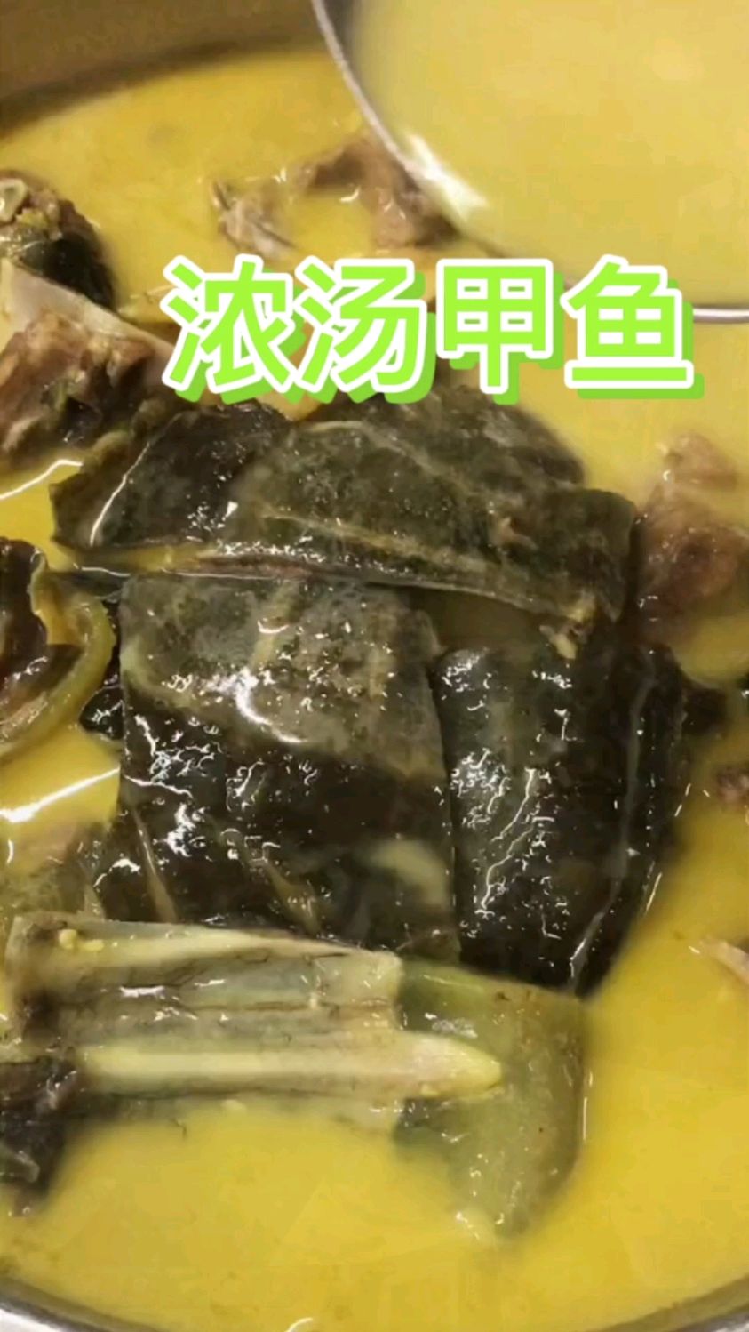 荤炖老鳖汤.甲鱼浓汤