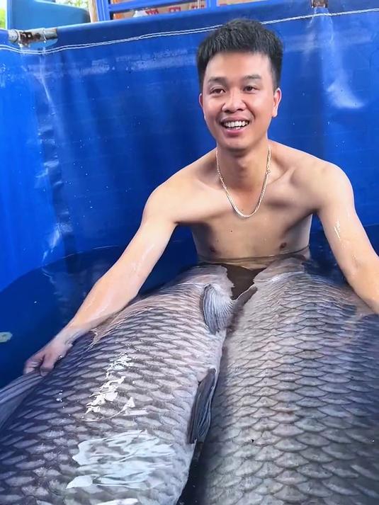 分享科普21种鱼,你认识几种?