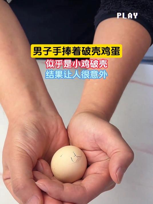 男子手捧着破壳鸡蛋,似乎是小鸡破壳,结果让人很意外
