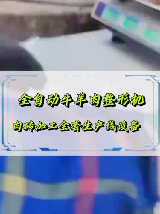 全自动牛羊肉方砖整形机,客定小尺寸肉砖成型效果