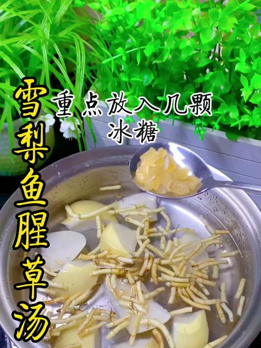雪梨鱼腥草汤