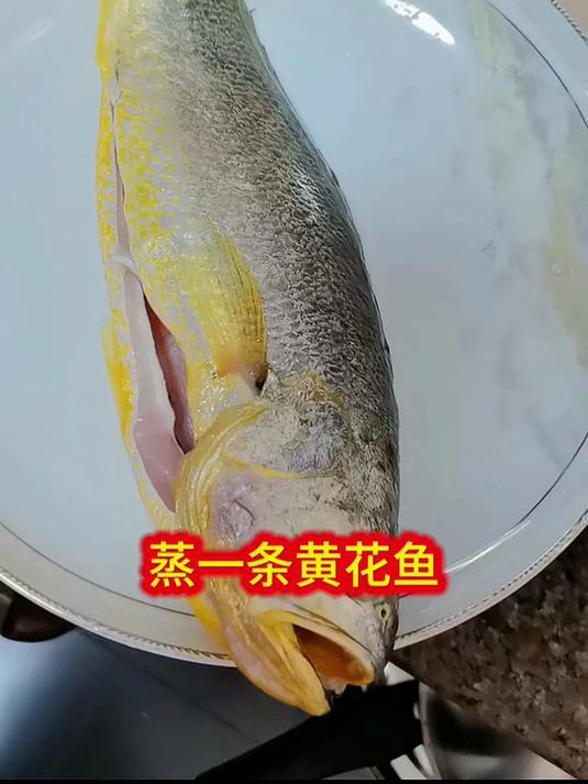 海名威宁德黄花鱼600g/条 大黄鱼 地标产品 海鲜海鱼 生鲜鱼类