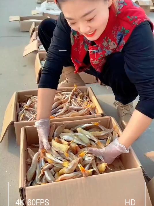 渔民自晒红娘鱼干太阳下自然风干,十几块到手一斤九成干!