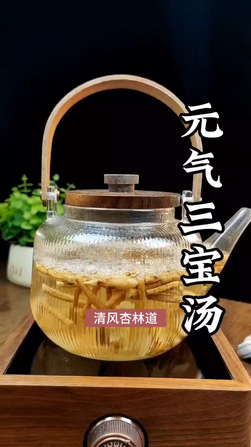 元气不足人就没精神,党参黄芪麦冬一块煮水喝,让你元气满满