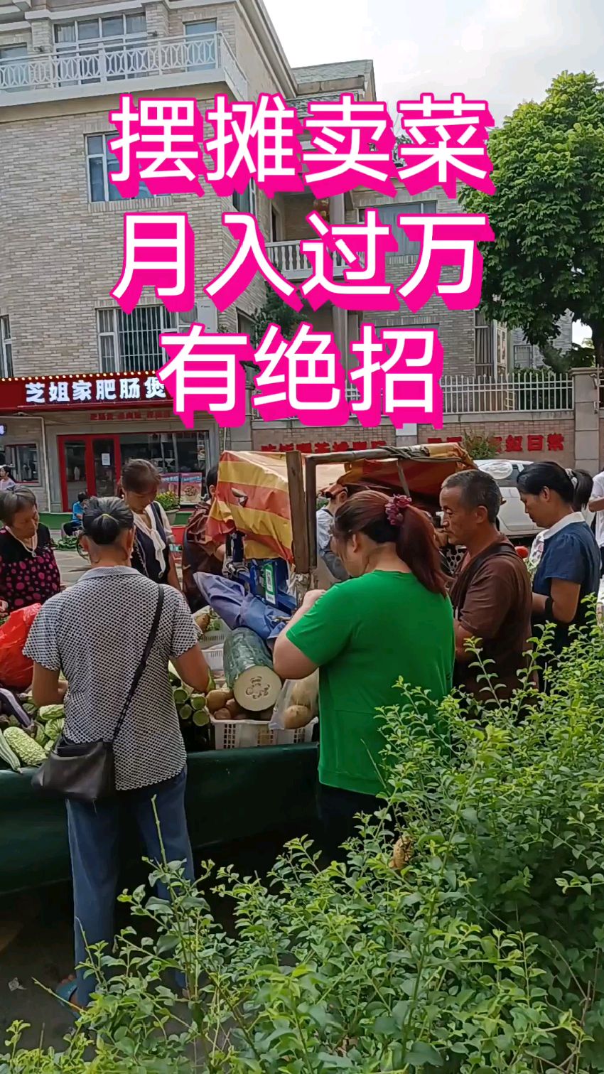 摆摊卖菜月入过万