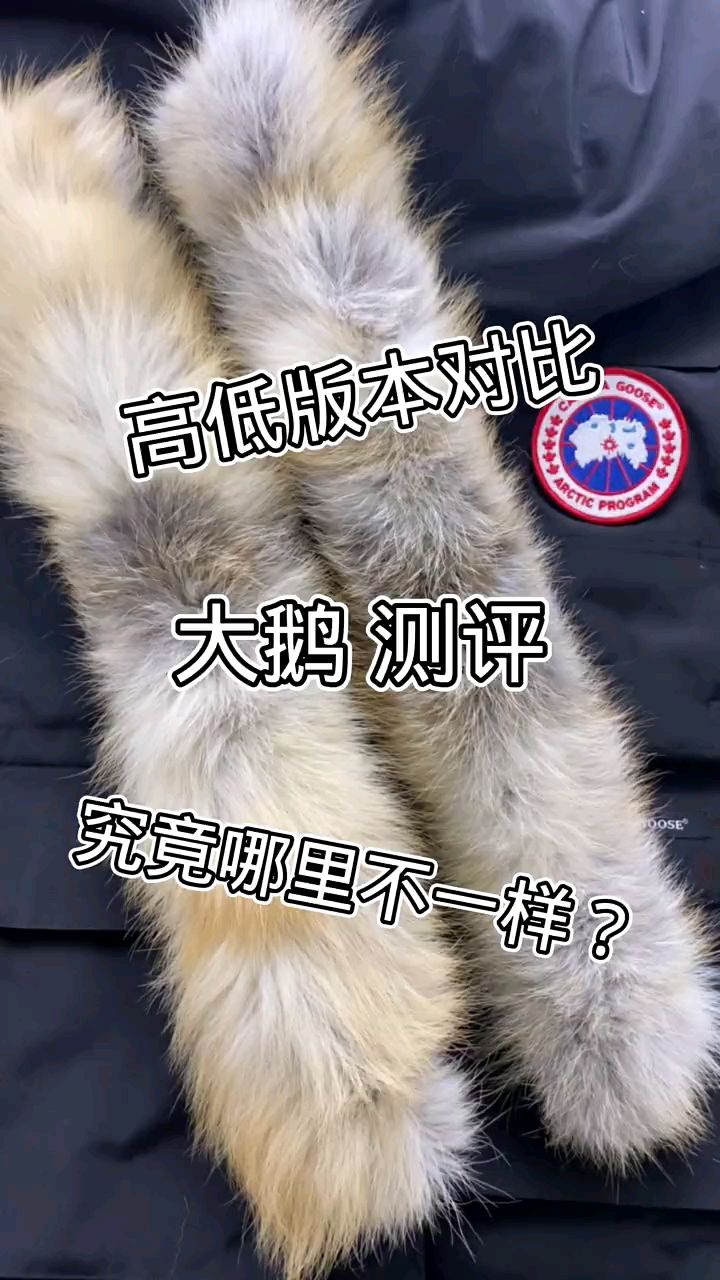 加拿大大鹅羽绒服版本对比