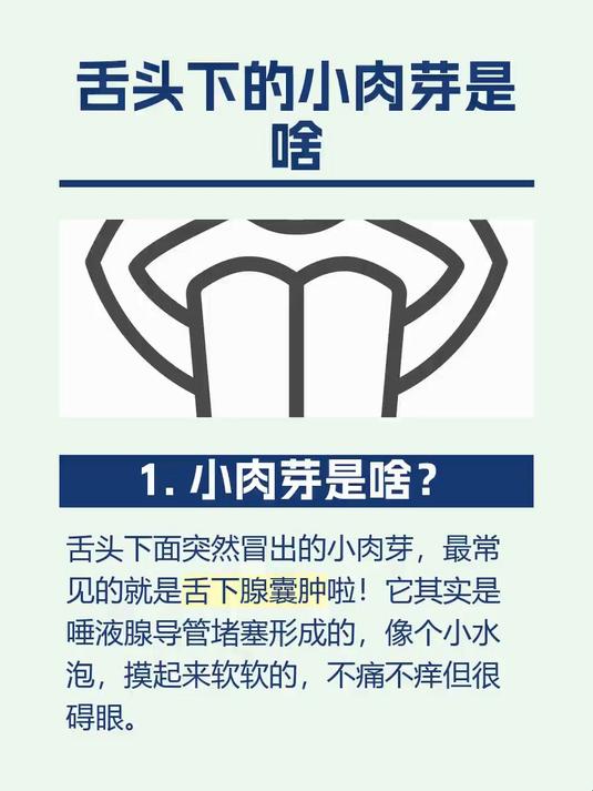 舌头下的小肉芽是啥