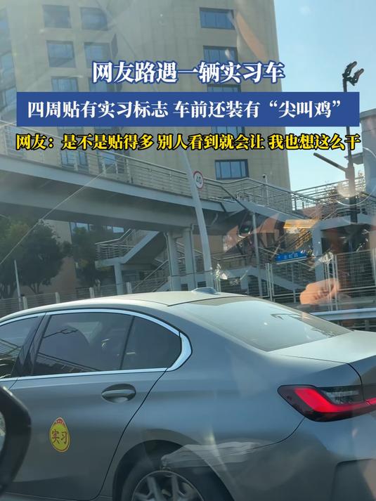 网友路遇一辆实习车,四周贴有实习标志车前还装有“尖叫鸡”
