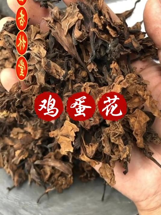 鸡蛋花的用途和选择,欢迎家人们了解