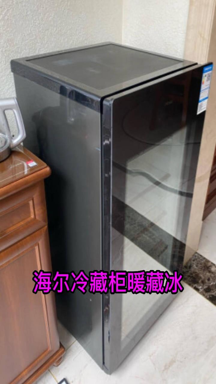 海尔冷藏柜暖藏冰吧,保鲜柜小型酒柜囤货冰箱
