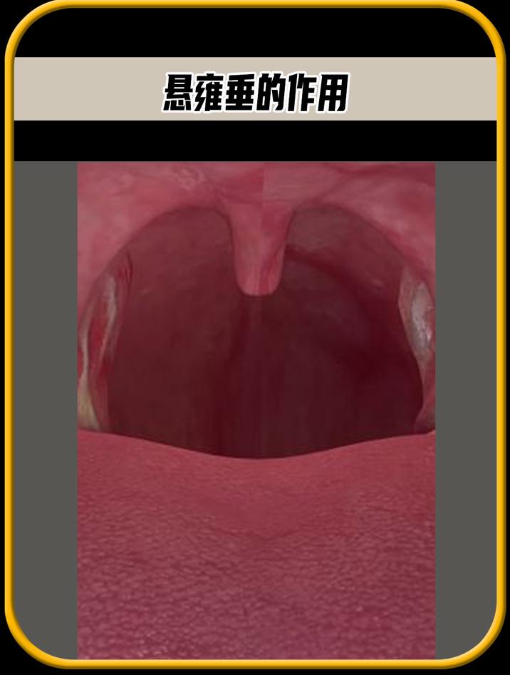 你知道你的口腔后面的肉球有什么作用吗,值得一看