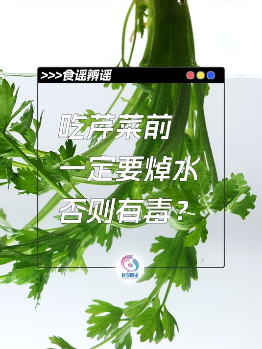 吃芹菜前一定要焯水,否则有毒?