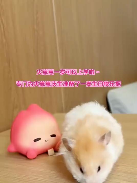 哇!一岁生日了!