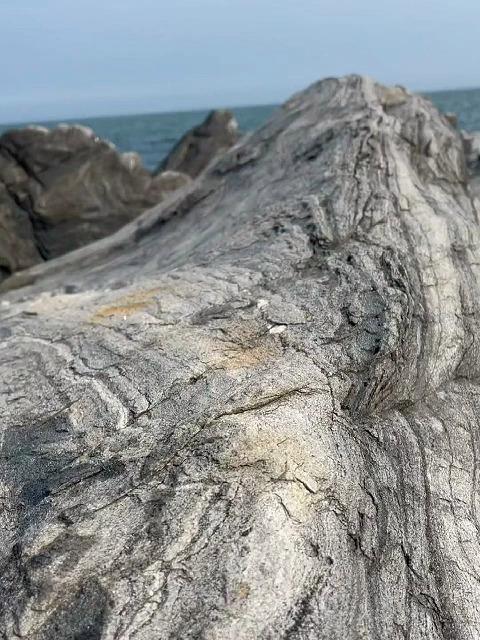 秦爱得开始偷吃窝边草，修补小师妹鳄鱼牌鞋子