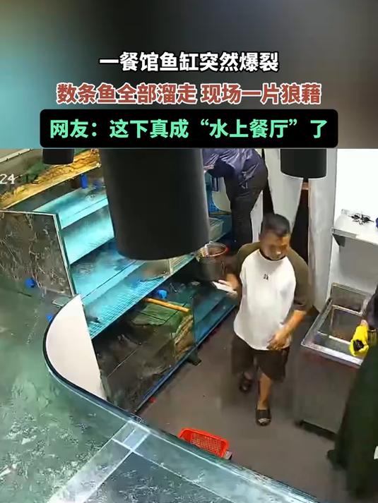 一餐馆鱼缸突然爆裂,数条鱼全部溜走,现场一片狼藉