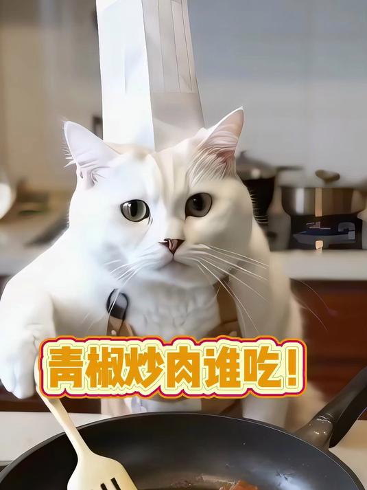 看看这小炒肉多专业