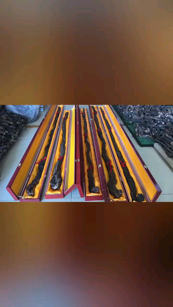 野生肉苁蓉礼盒