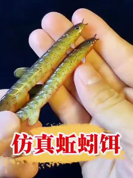 路亚黑坑想爆护?用这仿生泥鳅!路亚假饵钓鲈鱼鳜鱼鲶鱼#钓鱼##路亚##野钓##钓鱼技巧##