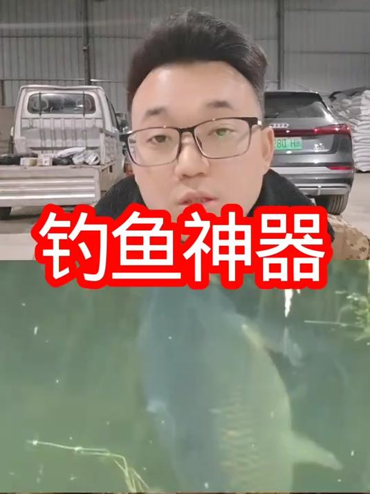 钓鱼自制饵料，草鱼嘎嘎上钩