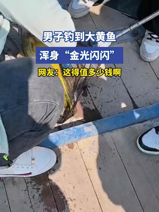 男子钓到大黄鱼,浑身“金光闪闪”,浑身“金光闪闪”