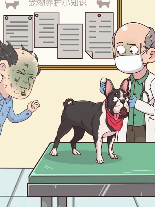 狗狗总是在地上蹭屁股是咋回事