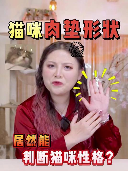 什么?猫咪的肉垫形状还能判断出猫的性格?科学养宠攻略