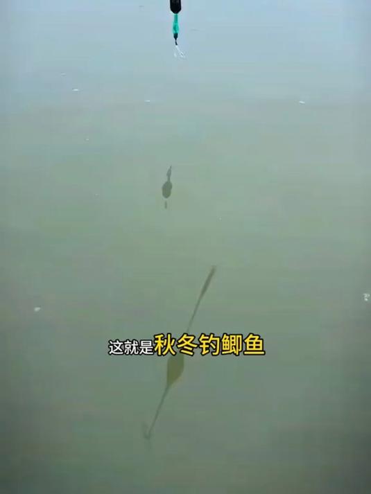 一体式防缠绕鱼线,绑好鱼钩,加粗漂尾,新手也能轻松钓鱼!