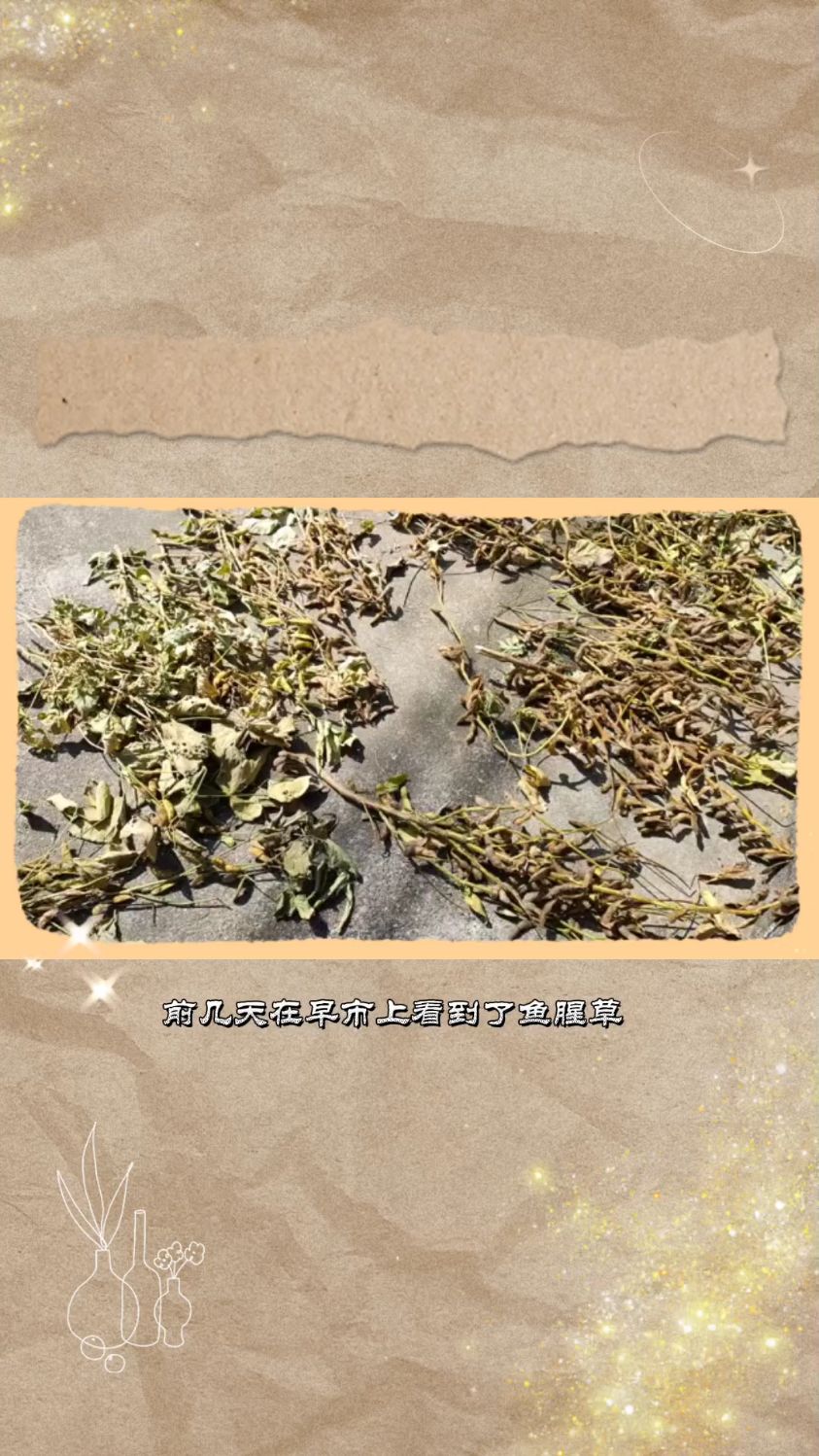 鱼腥草拌春菜你吃的惯吗?