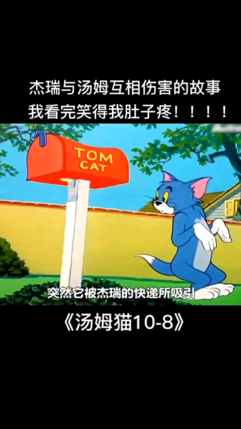 汤姆猫和杰瑞的故事