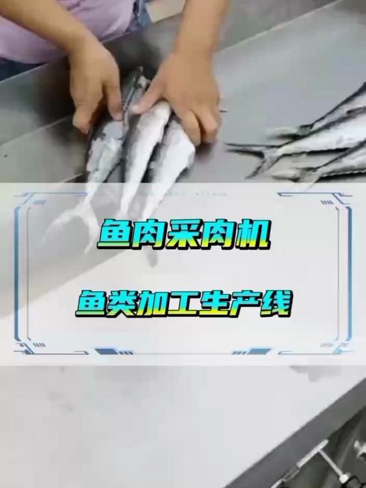 鱼肉采肉机,鱼糜提取机,适用各类鱼虾采肉去骨,来看下鲅鱼采肉