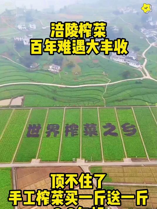 新鲜现拌的榨菜片麻辣味刚好一口一个嘎嘣脆配粥下饭超好吃