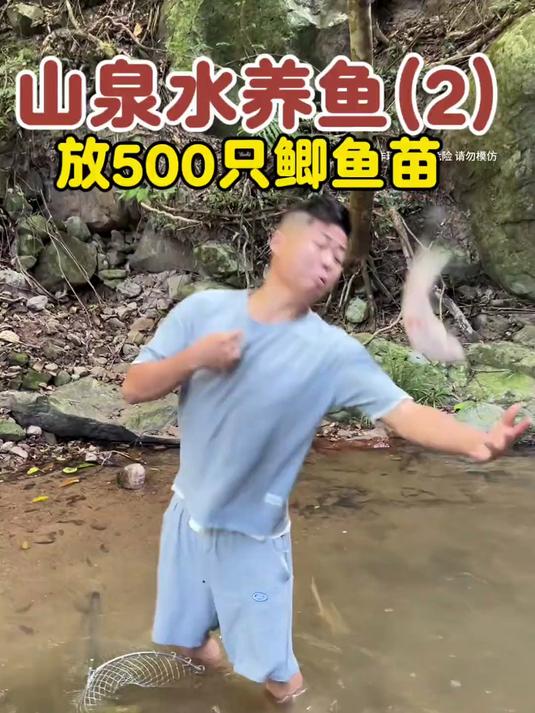 给鱼儿们分类，放500只鲫鱼苗！