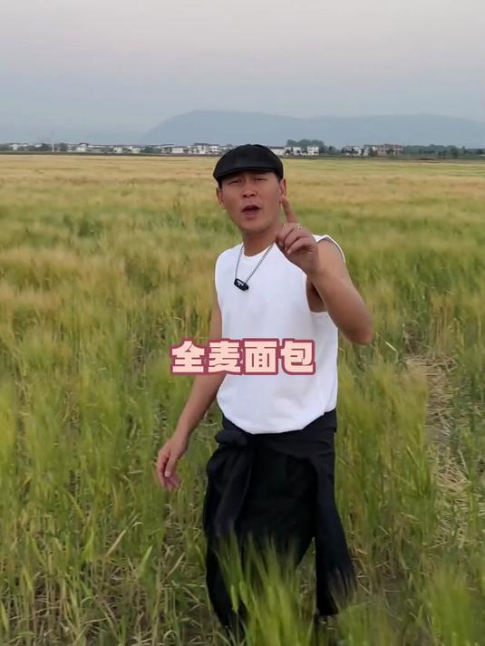 金色麦田不要错过哦,这样拍照会让你的作品更加好看