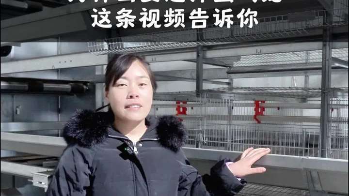 为什么选择养鸡笼一条视频告诉你