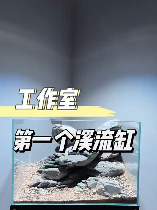 开一个s码溪流缸
