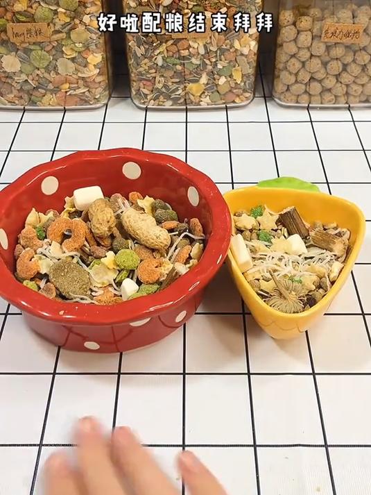 今天是小黑妹和小豆丁的配粮~#仓鼠# #金丝熊#