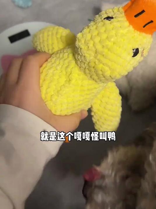 捏捏就会叫,嘎嘎鸭小狗超喜欢玩诶!快给你家狗狗安排上