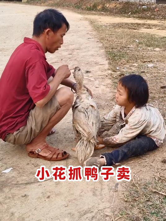 小花抓鸭子卖钱买肉照顾弟弟,虽然苦了点但小花不抱怨