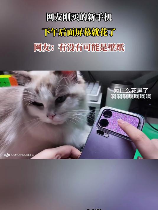 网友刚买的新手机,下午后面屏幕就花了,网友:有没有可能是壁纸